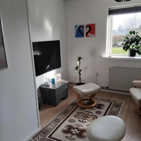 Singlevaerelse Rum i privatbostad Hedehusene